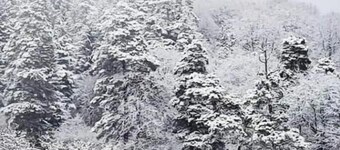 Three bedroom villa BarLeon-Bakuriani B