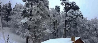 Villa BarLeon-Bakuriani Three bedroom villa A