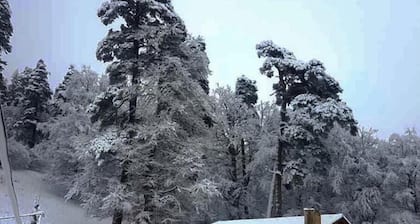 Villa BarLeon-Bakuriani Three bedroom villa A