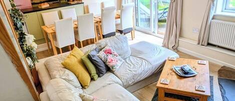 TV connectée, cheminée, jeux vidéo, lecteur de DVD