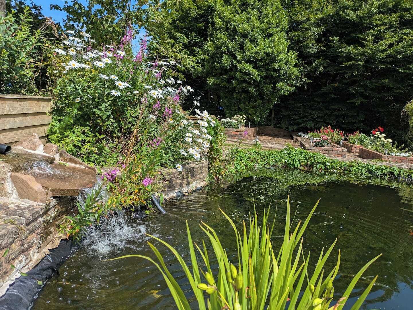 Áreas de la propiedad