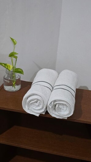 Fridge, microwave, stovetop, blender - Casa Ginger (Campeche)