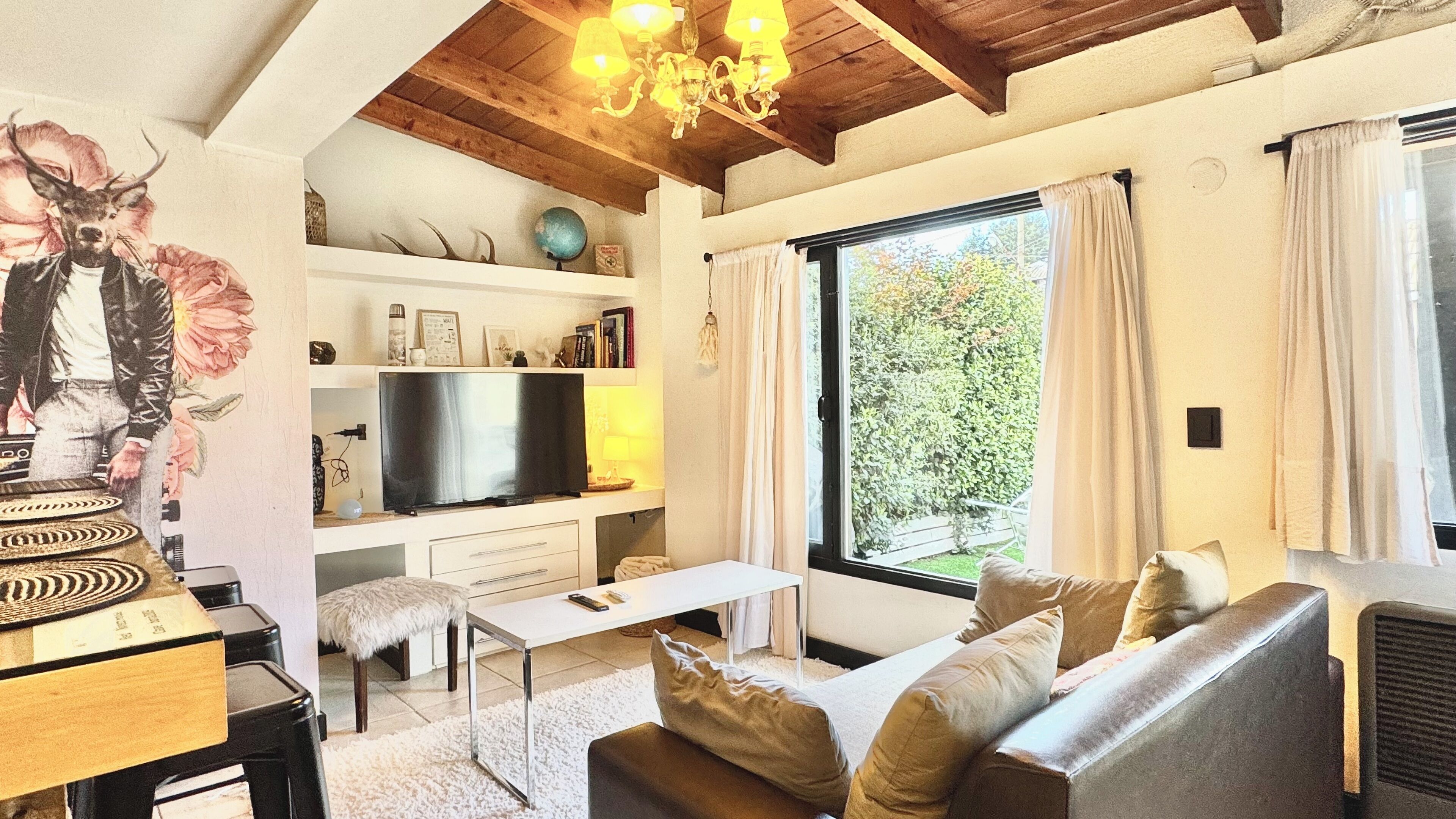 Smart-TV, Bücher, Stereoanlage