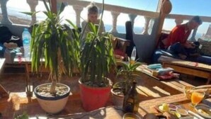 Une table à manger, dressée avec des plats et des boissons, entourée de plantes en pot, sous une structure en bois offrant une vue agréable.