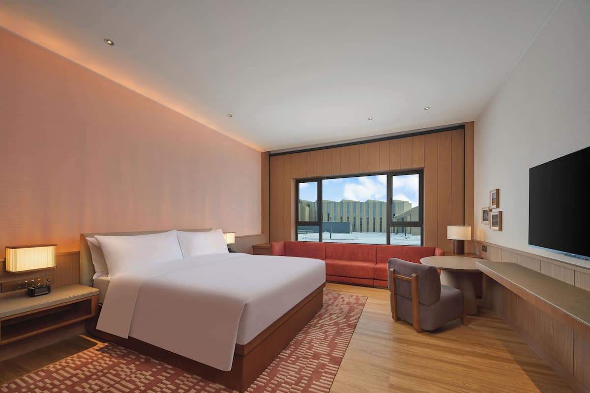 Basic Room, 1 King Bed