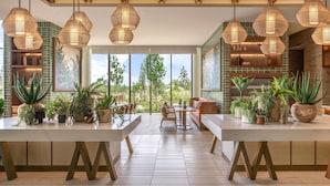 A modern kitchen with large windows, hanging wicker light fixtures, and potted plants. - Canopy By Hilton Okinawa Miyako Island Resort (Miyakojima)