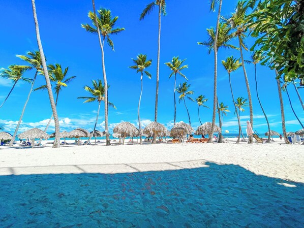 A beach with tall palm trees and thatched umbrellas.