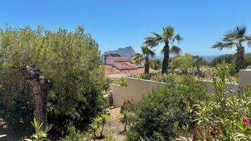 Àrea exterior de l'allotjament