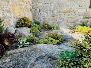 A garden with various succulents and rocks.