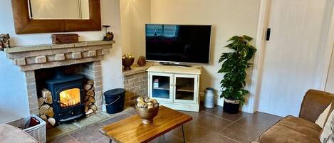 TV, fireplace, books