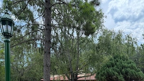 A pathway leading to a building with a red-tiled roof, surrounded by trees and a lamp post. - Cabañas Sol Mediterraneo (Cosquín)