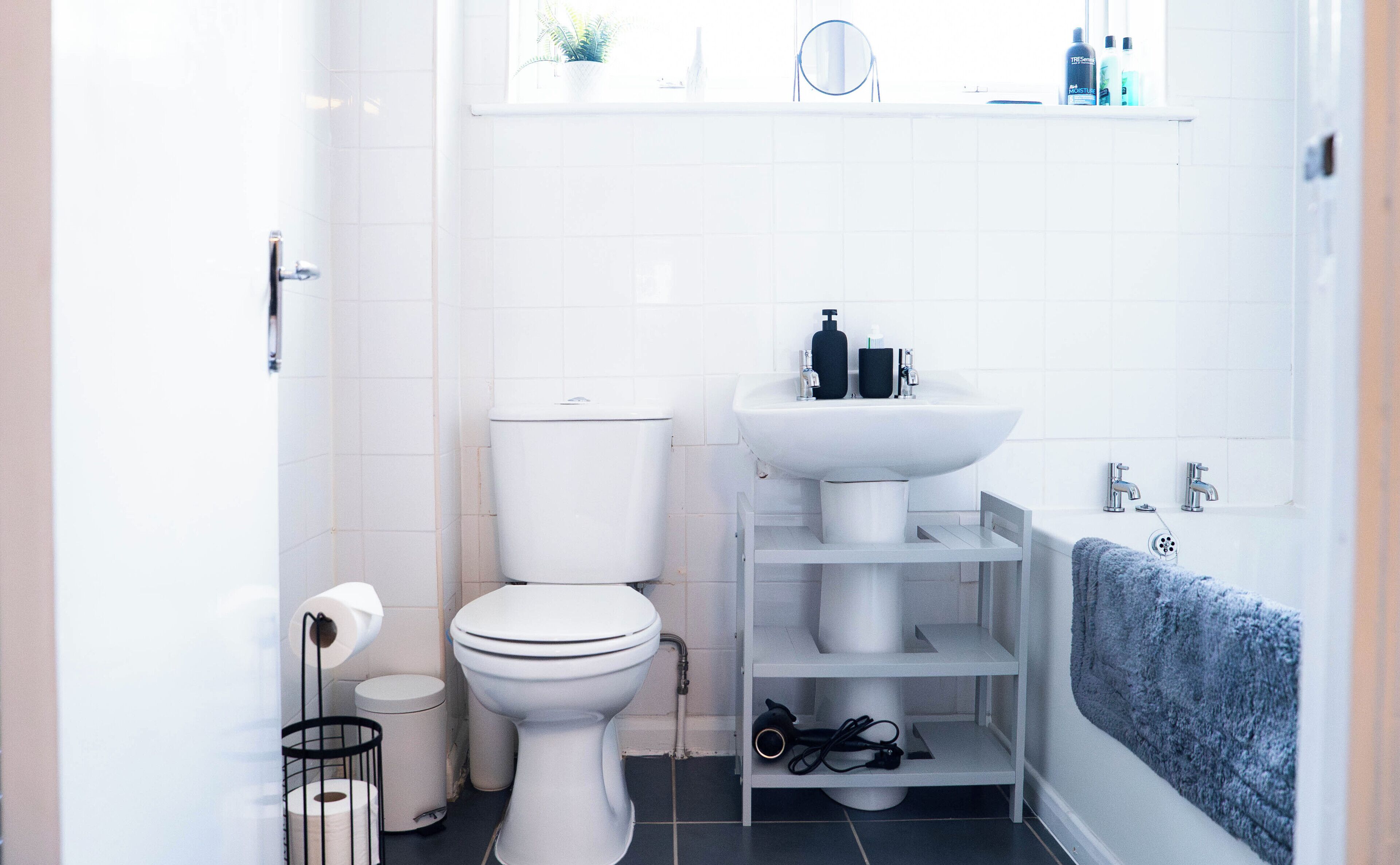 Hair dryer, soap, shampoo, toilet paper