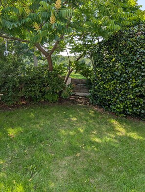 Property grounds - Calm & contemporary 2 bed house with park view (Sale)