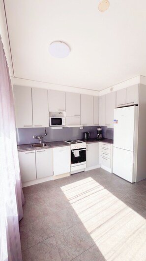 Microondas, horno, placa de cocina, lavavajillas