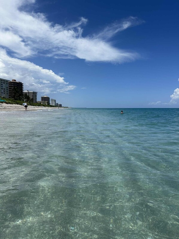 Beach - Spacious newly renovated 4BR Home w Private Yard (Palm Beach Gardens)