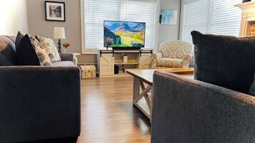 Smart TV, fireplace, books