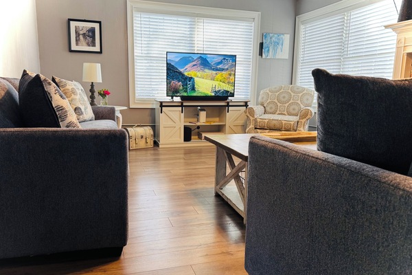 Smart TV, fireplace, books