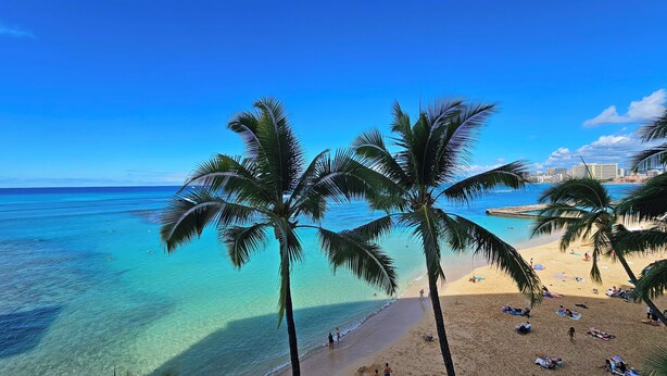 A beach with clear turquoise water, palm trees, and a city skyline in the background.