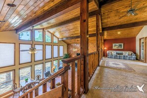 Tv, pejs, videospil, bordtennisbord