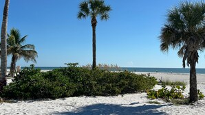 A beach with palm trees and a clear blue sky.
