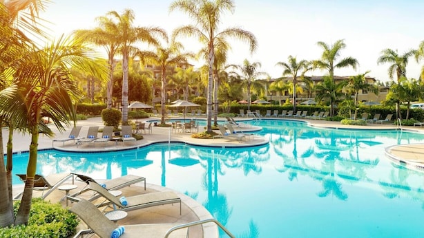 Zona de piscina en un resort con múltiples sillas de descanso y sombrillas, rodeada de palmeras y un cielo azul despejado.