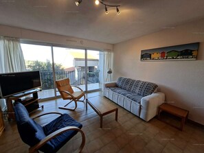TV, DVD player, video library - 4SOM5- One-bedroom apartment with lovely views of the hills (COLLIOURE)