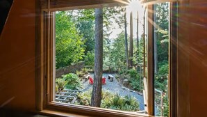 A view from a window of a forested area with a gravel path, red chairs, and a wooden bench. - Epic A Frame (Granite Falls)