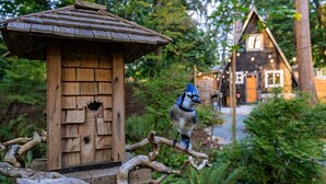A wooden birdhouse with a sloped roof and a small entrance hole, situated in a lush green garden with a path leading to a house in the background. - Epic A Frame (Granite Falls)