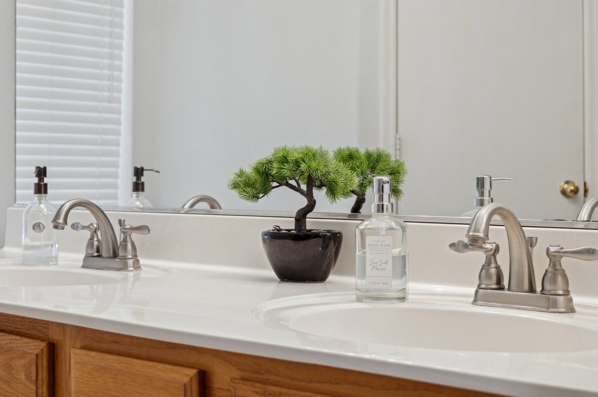 A bathroom with a white sink, two faucets, a black vase with a bonsai tree, and a bottle of hand soap.