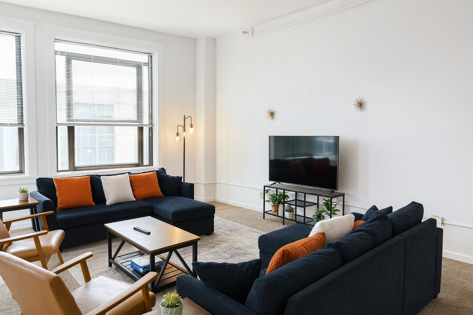 TV, fireplace, books