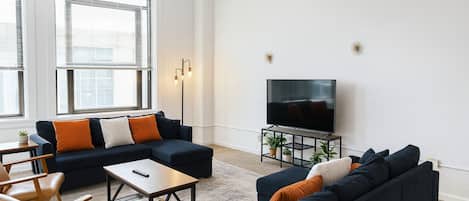 TV, fireplace, books