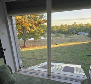 A room with a large window overlooking a grassy field, a tree with autumn leaves, and a distant house. - Animal Farm Experience, 3-bed  (2 qn 1 king) rv home in the Valley (Water Valley)