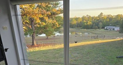 Animal Farm Experience, 3-bed (2 qn 1 king) rv home in the Valley