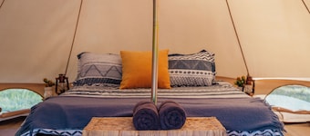 Ventricosa Jervis Bay