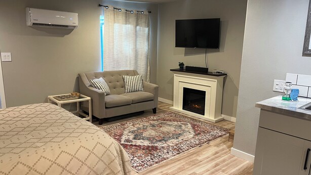 A modern room with a sofa, a fireplace, a television, and a bed. - Charming Studio in Delightful Richland (Richland)