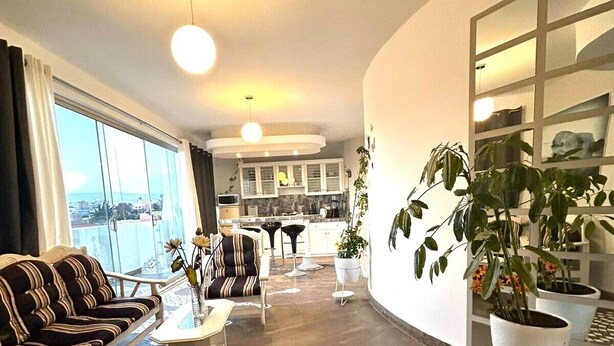 Un amplio salón con sofá, sillas, una mesa de comedor y plantas en macetas.