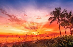 Solsenger og strandhåndklær