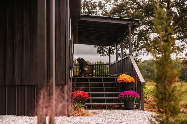 テラス / パティオ