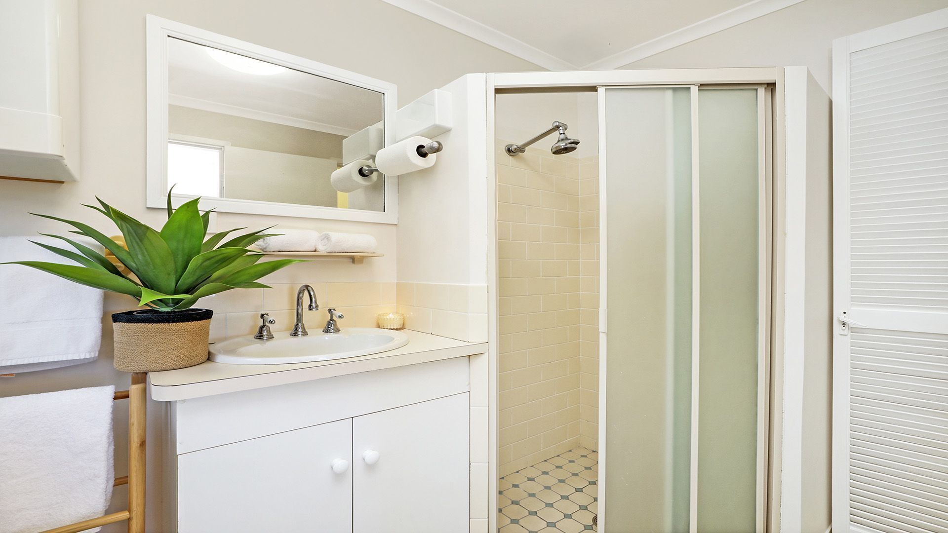 Shower, hair dryer, towels