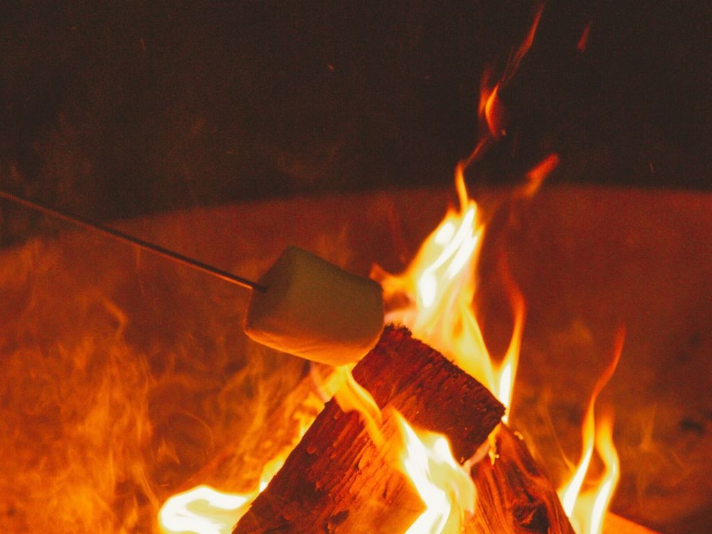 A close-up of a wooden log with flames.