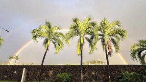 Un mur de pierre, avec des palmiers et un arc-en-ciel en arrière-plan.