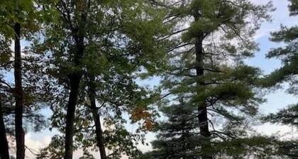 Northwoods Lake Content Cabin