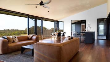 智能電視、壁爐、書籍