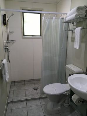 Chambre Deluxe | Salle de bain | Douche, sèche-cheveux, savon, shampoing