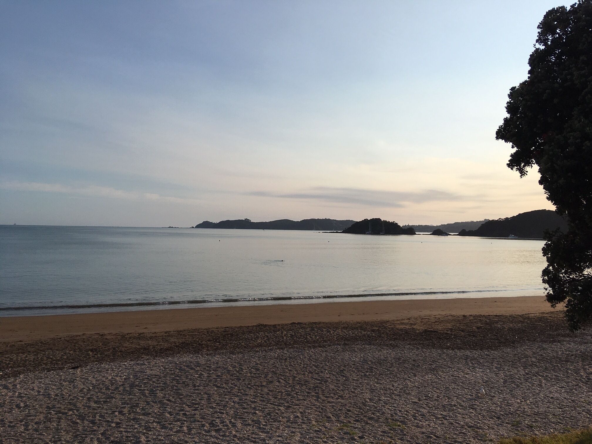 In Strandnähe, weißer Sandstrand, Strandtücher