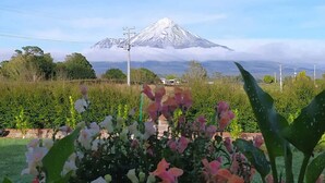 A mountain with a snow-capped peak in the background, surrounded by greenery and power lines.