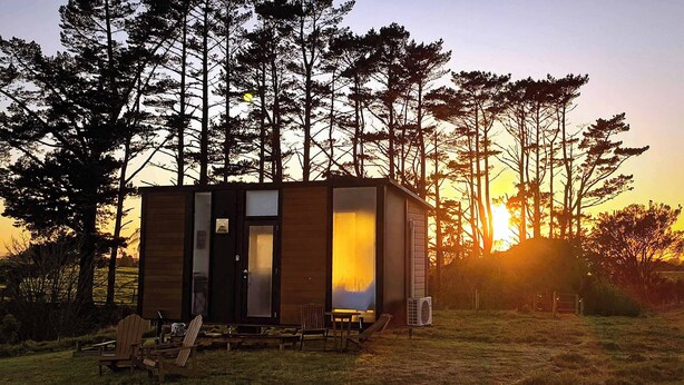 A small cabin with a glass door, surrounded by tall trees, and equipped with outdoor seating.
