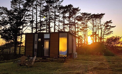 Taranaki Creekside KIWI by Tiny Away