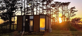 Taranaki Creekside KIWI by Tiny Away