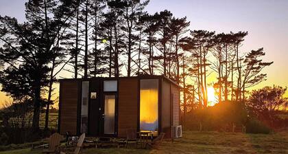 Taranaki Creekside KIWI by Tiny Away